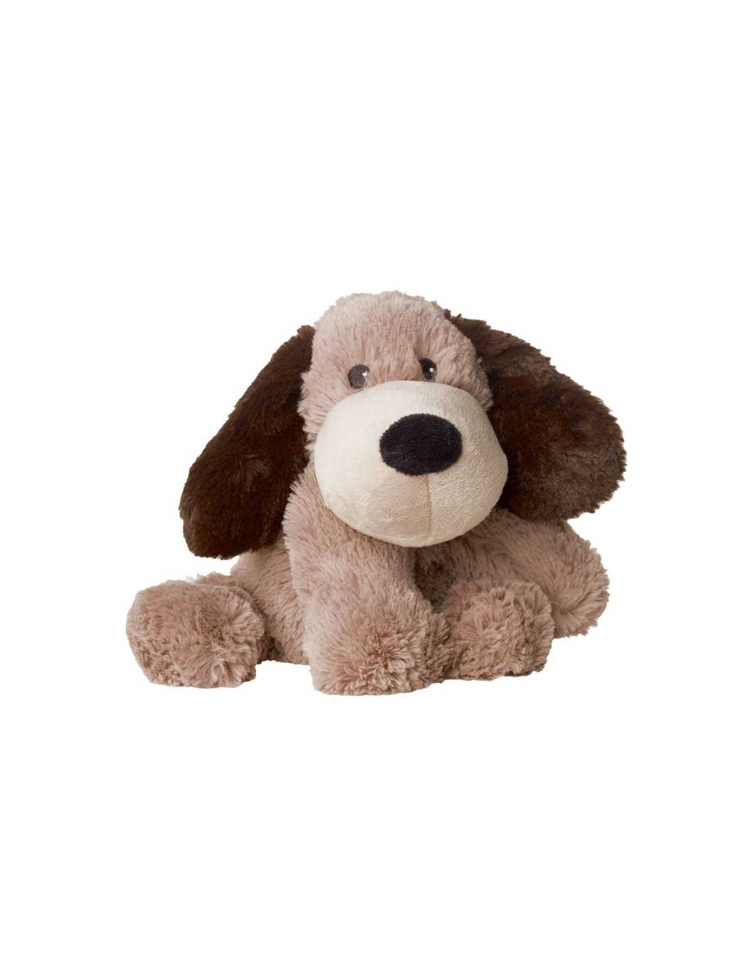 Windeltorte Wärme Hund Garry